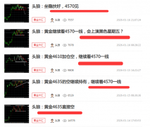 头狼：昨晚黄金公然仍是到4570下方了